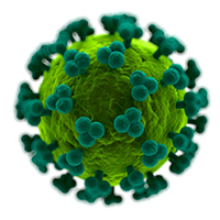 Credit: HIV (human immunodeficiency virus) particle, computer artwork. Photo credit: Getty Images