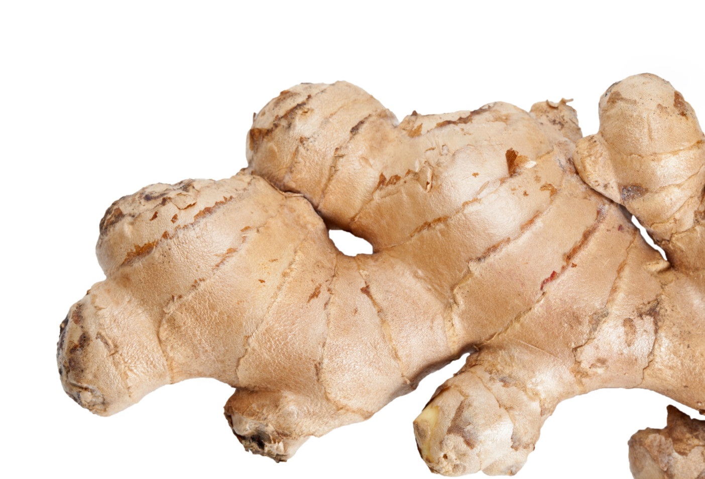 6-shogaol, is produced when ginger roots are dried or cooked