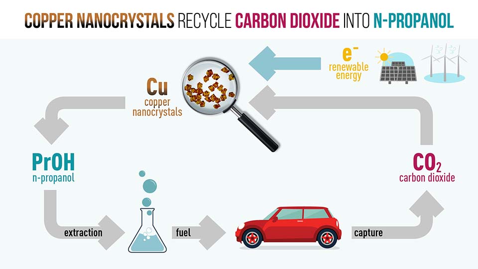  The copper nanocrystals can reduce carbon dioxide to n-propanol in a single step and at low cost. Credit: National University of Singapore
