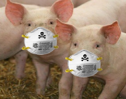Swine Influenza (Swine Flu)