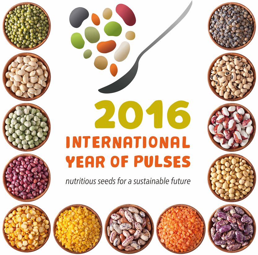 The 68th UN General Assembly declared 2016 the International Year of Pulses (IYP) (A/RES/68/231)