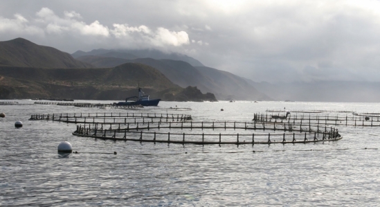 Net pen aquaculture in deep coastal waters. Photo Credit: NOAA