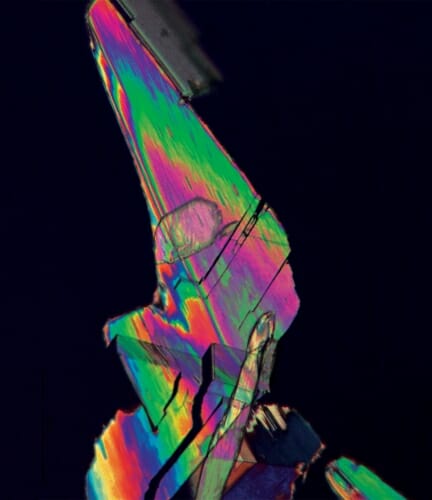 A crystal of furandicarboxylic acid, or FDCA, a plastic precursor created with biomass instead of petroleum. IMAGE BY ALI HUSSAIN MOTAGAMWALA AND JAMES RUNDE