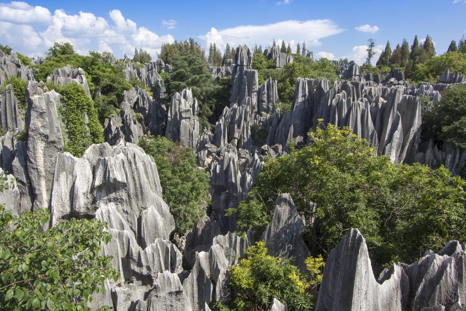 Weathering rocks, like the limestone at Stone Forest National Park in China, hold significant levels of nitrogen. (Getty). Credit: ucdavis.edu