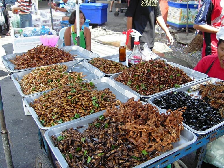 Deep-fried insects at a food stall in Bangkok, Thailand. More than 2 billion people around the world regularly consume insects. PHOTO: TAKORADEE/CC BY S-A 3.0