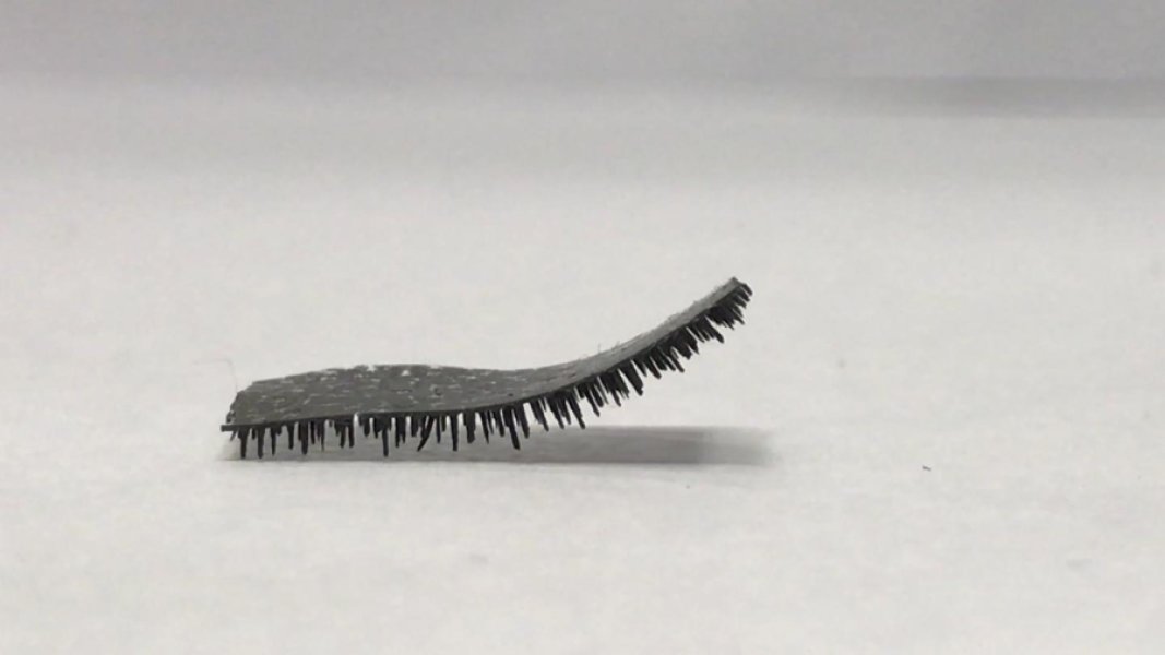 A novel tiny, soft robot with soft caterpillar-like legs which is adaptable to adverse environment and can carry heavy load was developed. Credit: City University of Hong Kong