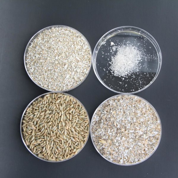 The various stages of processing rye, from berries to alkylresorcinols (top left to bottom right): rye berries, rye chops (coarsely ground rye berries), rye bran, and alkylresorcinols (extracted and purified from rye bran). Credit: Ben Chrisfield