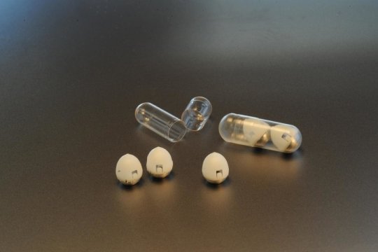 An MIT-led research team has developed a drug capsule that could be used to deliver oral doses of insulin. Credit: Felice Frankel