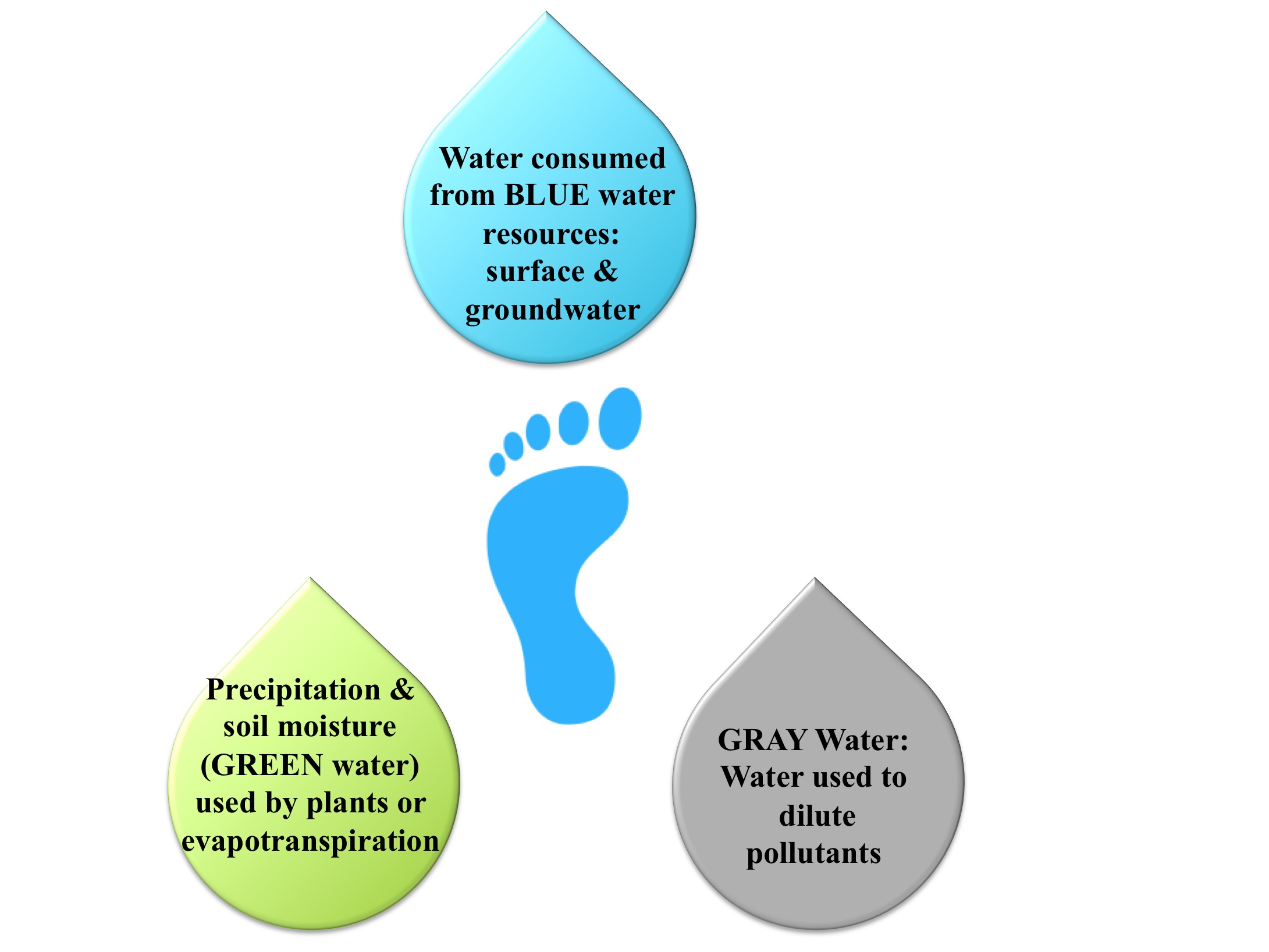 Figure 1. Three major components of water footprint: blue, green and gray footprints. Image drawn by author with image of foot taken from creative common source.