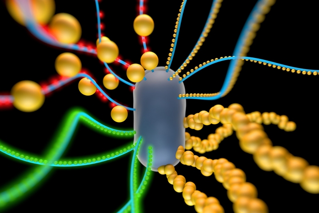 An artist's rendering of a bacterial cell engineered to produce amyloid nanofibers that incorporate particles such as quantum dots (red and green spheres) or gold nanoparticles.  Image: Yan Liang ( Credit: http://news.mit.edu/)