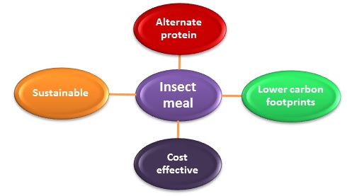 Credit: Figure 1: Major usage of insect meal as protein source in the diet of broilers