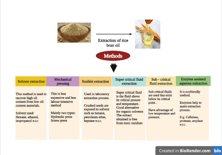 Figure 1: Different methods for the extraction of rice bran oil (Garba et al., 2017)