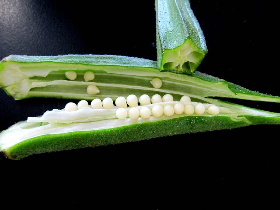 Okra has various nutritional values and health benefits